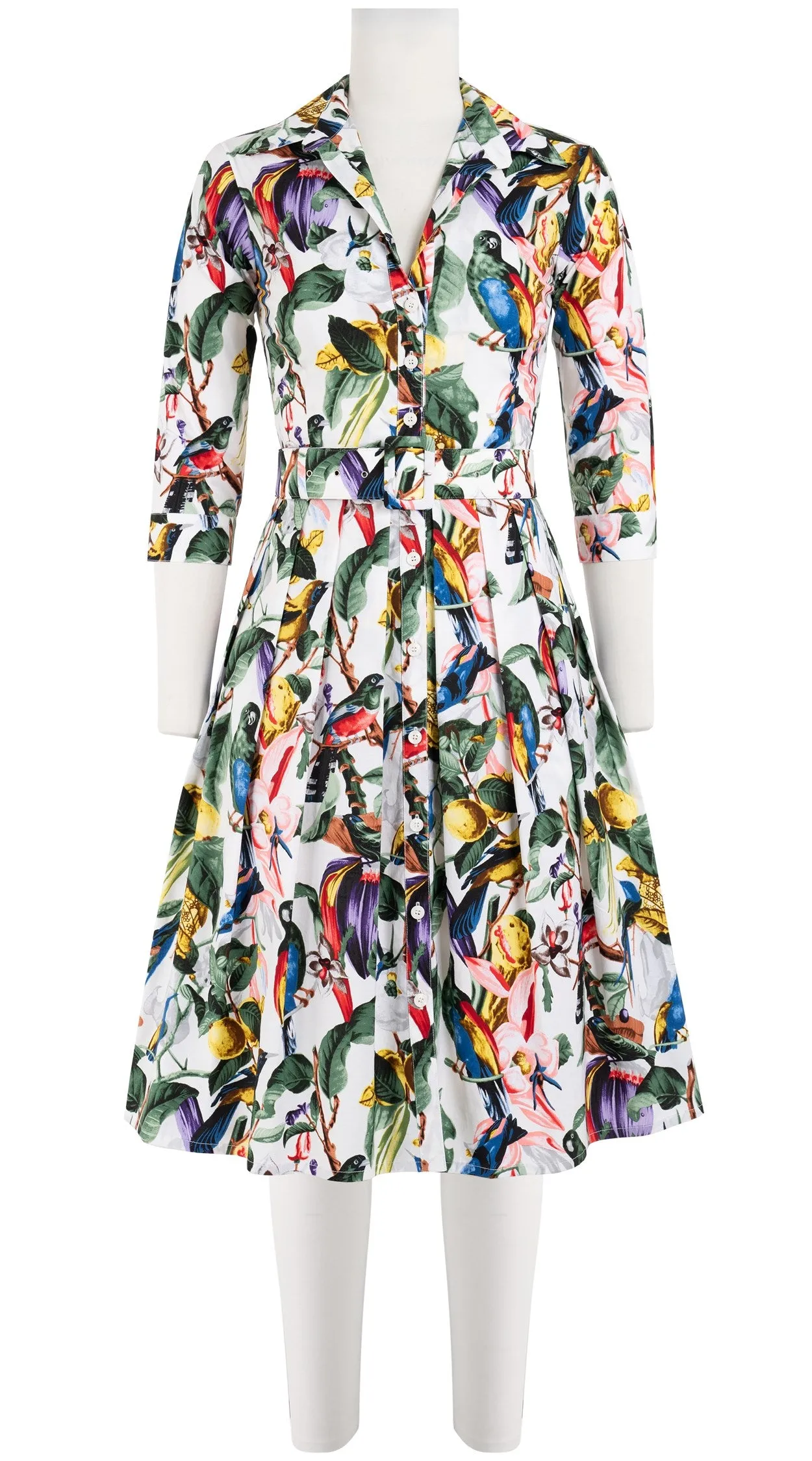 Audrey Dress #1 Shirt Collar 3/4 Sleeve Cotton Stretch (Blue Bird)