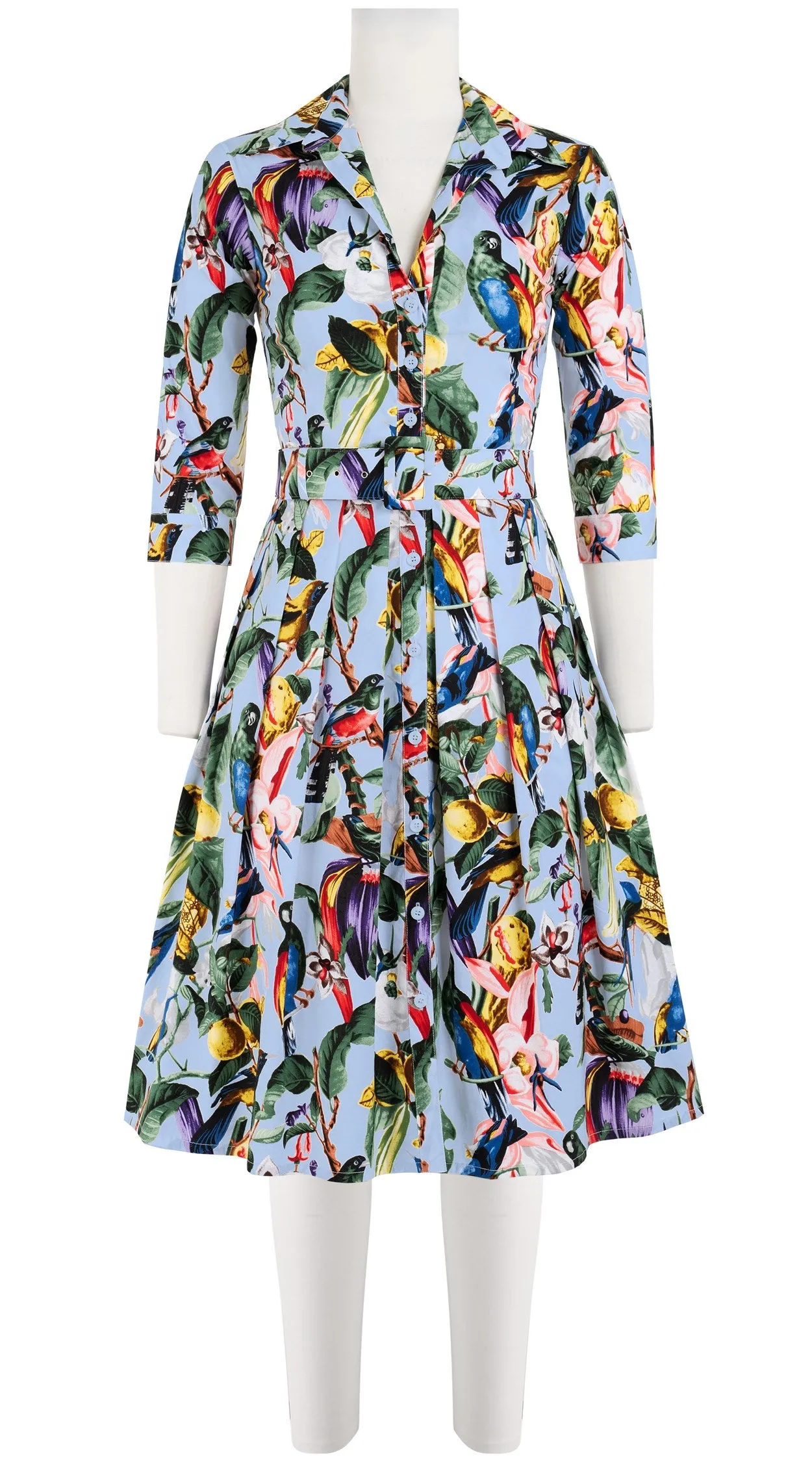 Audrey Dress #1 Shirt Collar 3/4 Sleeve Cotton Stretch (Blue Bird)