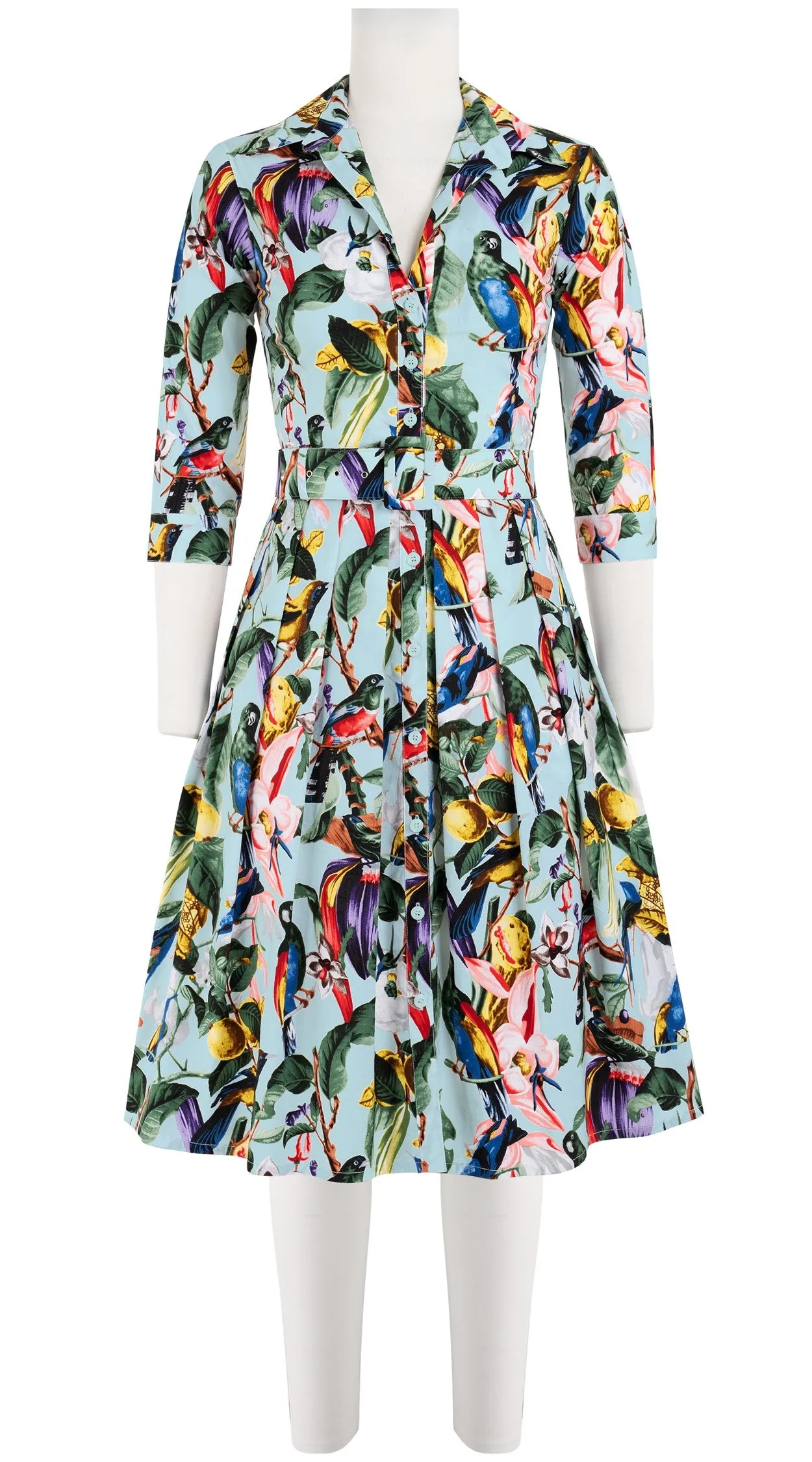 Audrey Dress #1 Shirt Collar 3/4 Sleeve Cotton Stretch (Blue Bird)