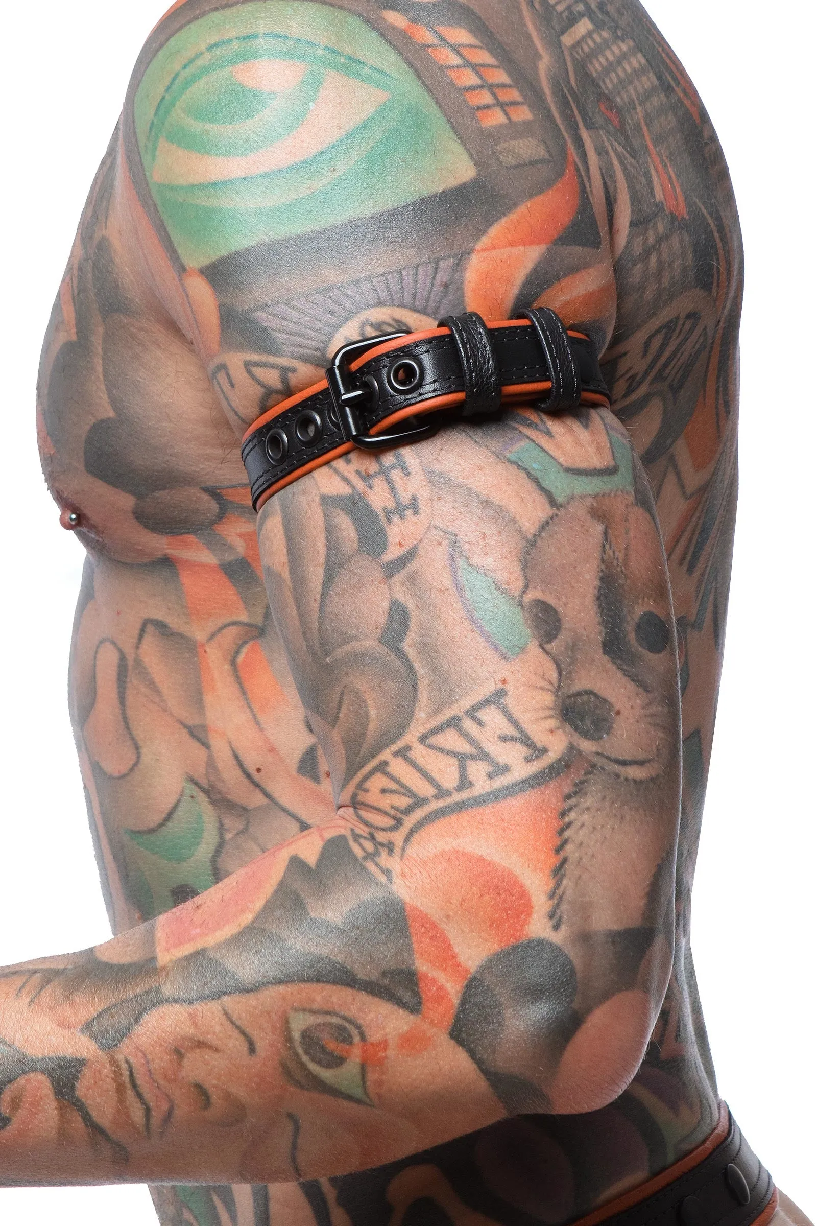 COMBAT ARMBELT NARROW - Colour