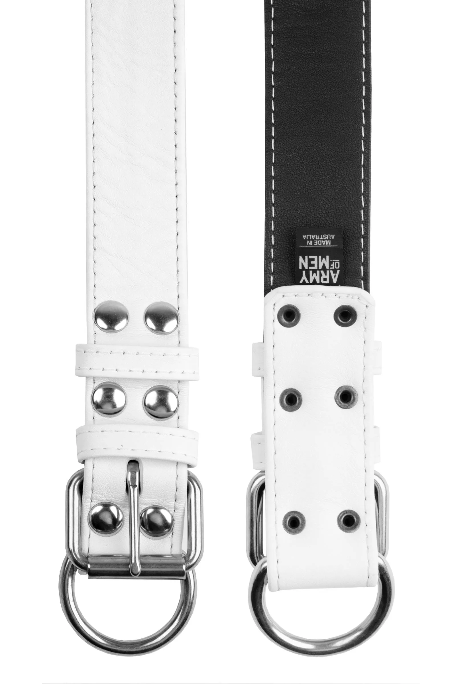 PUP COLLAR - White & Stainless Steel