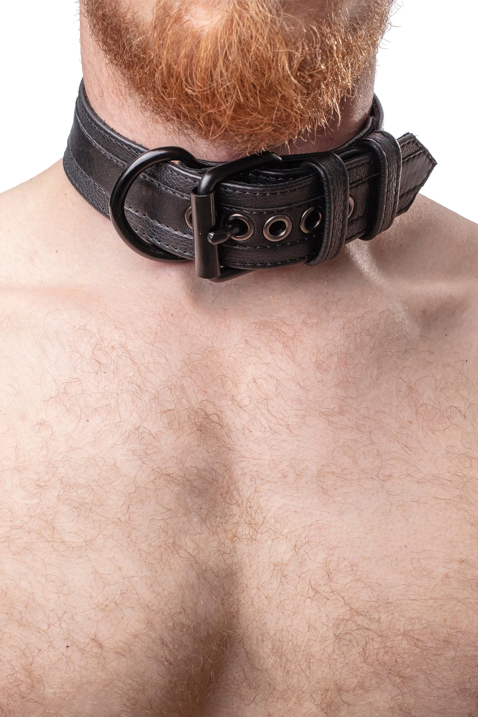 RACER STRIPE PUP COLLAR - Black
