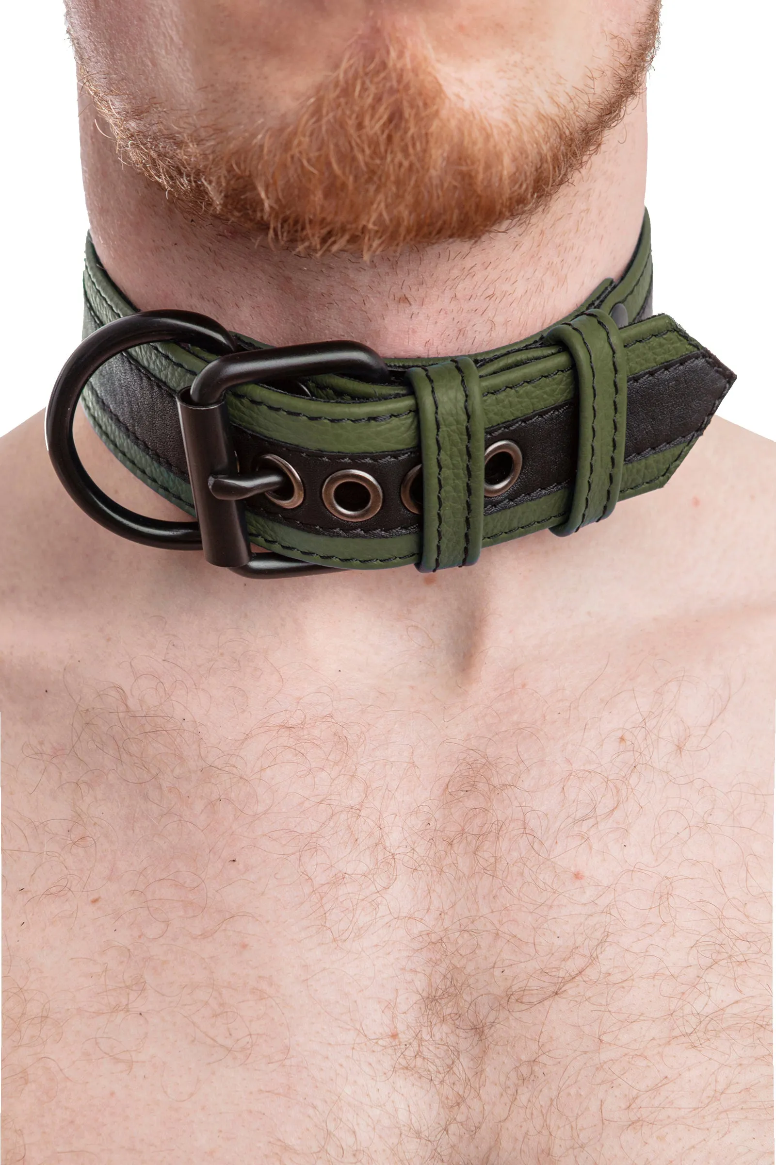 RACER STRIPE PUP COLLAR - Colour