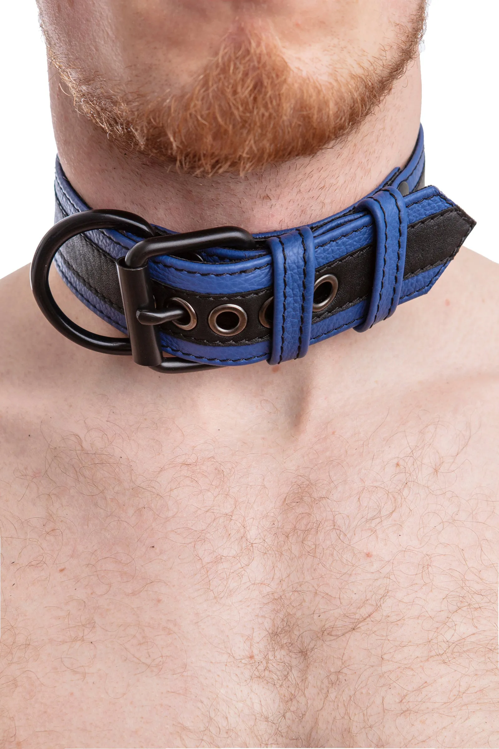 RACER STRIPE PUP COLLAR - Colour