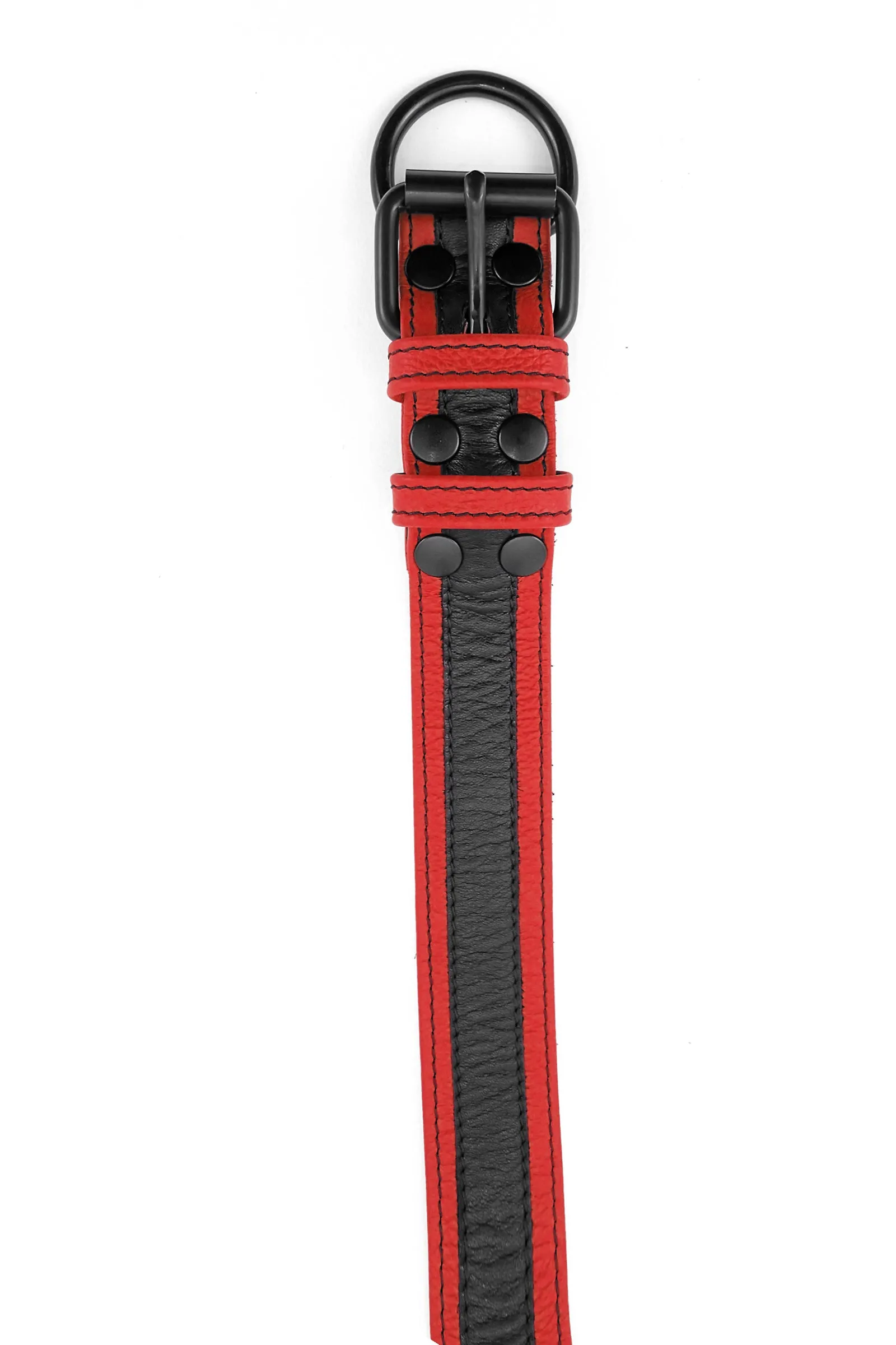 RACER STRIPE PUP COLLAR - Colour