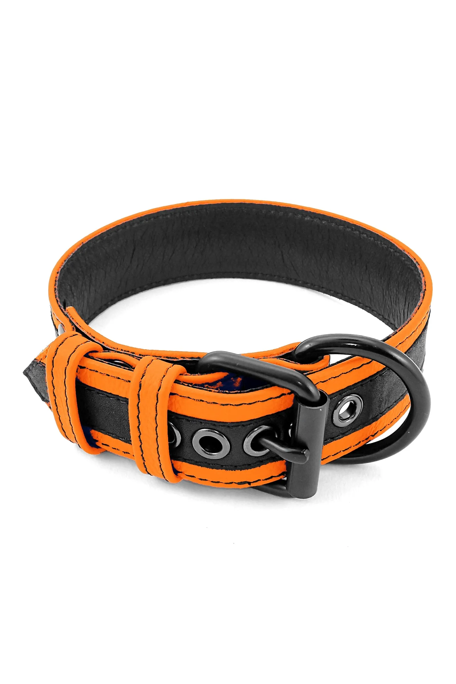 RACER STRIPE PUP COLLAR - Colour