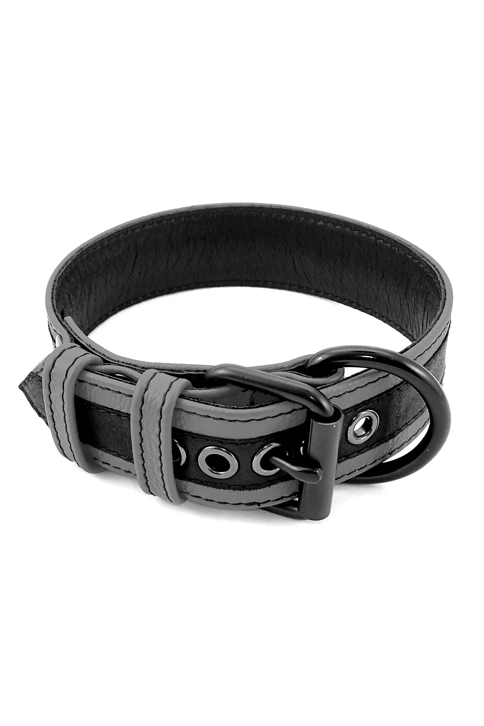 RACER STRIPE PUP COLLAR - Colour