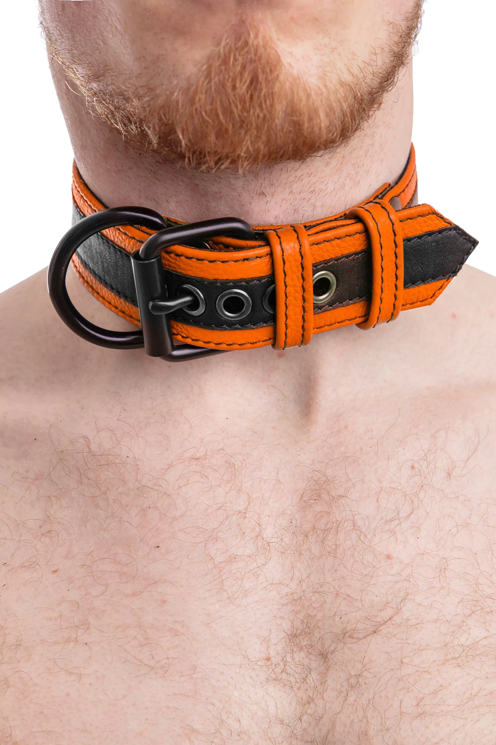 RACER STRIPE PUP COLLAR - Colour