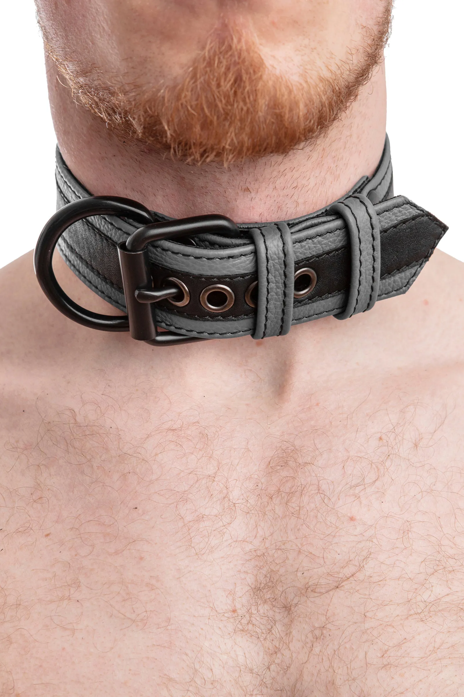 RACER STRIPE PUP COLLAR - Colour