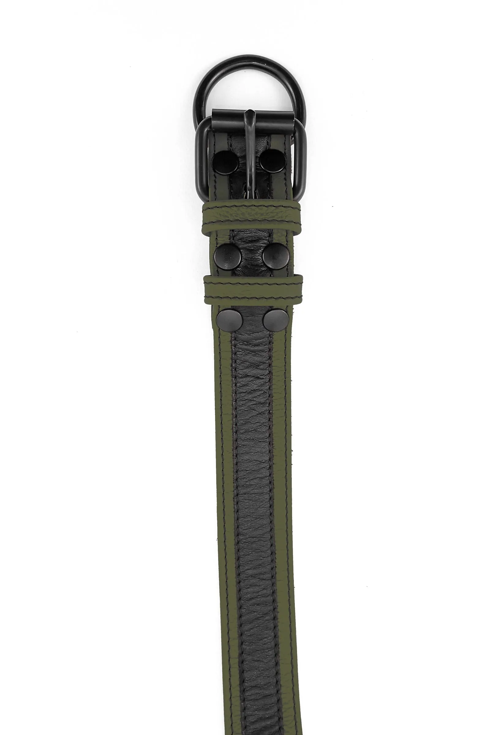 RACER STRIPE PUP COLLAR - Colour