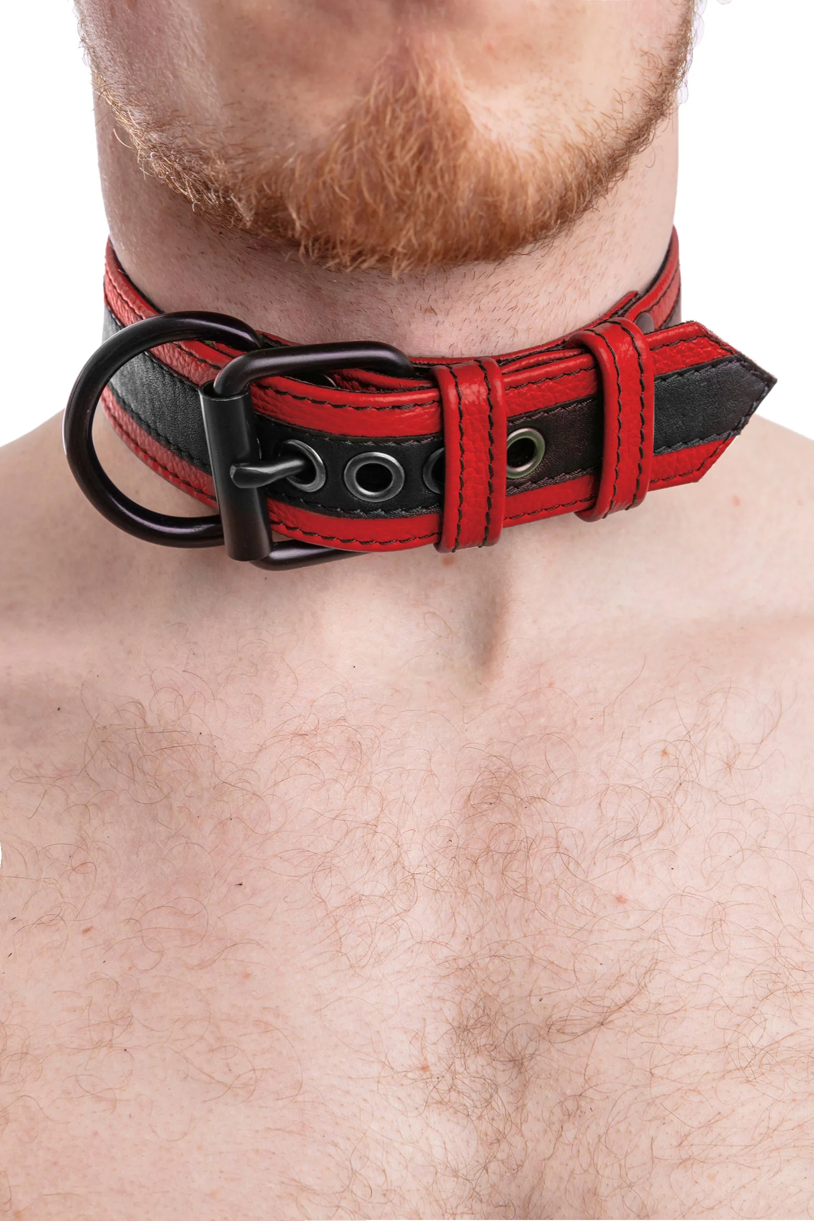 RACER STRIPE PUP COLLAR - Colour
